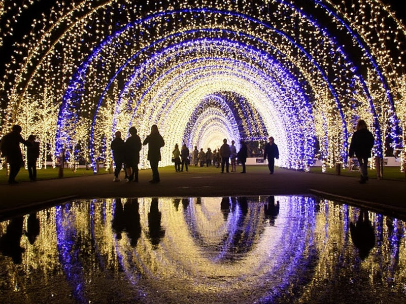 Winter Light Trail at Trentham Gardens - Full Information Here